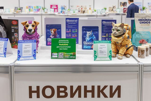 НОВИНКИ